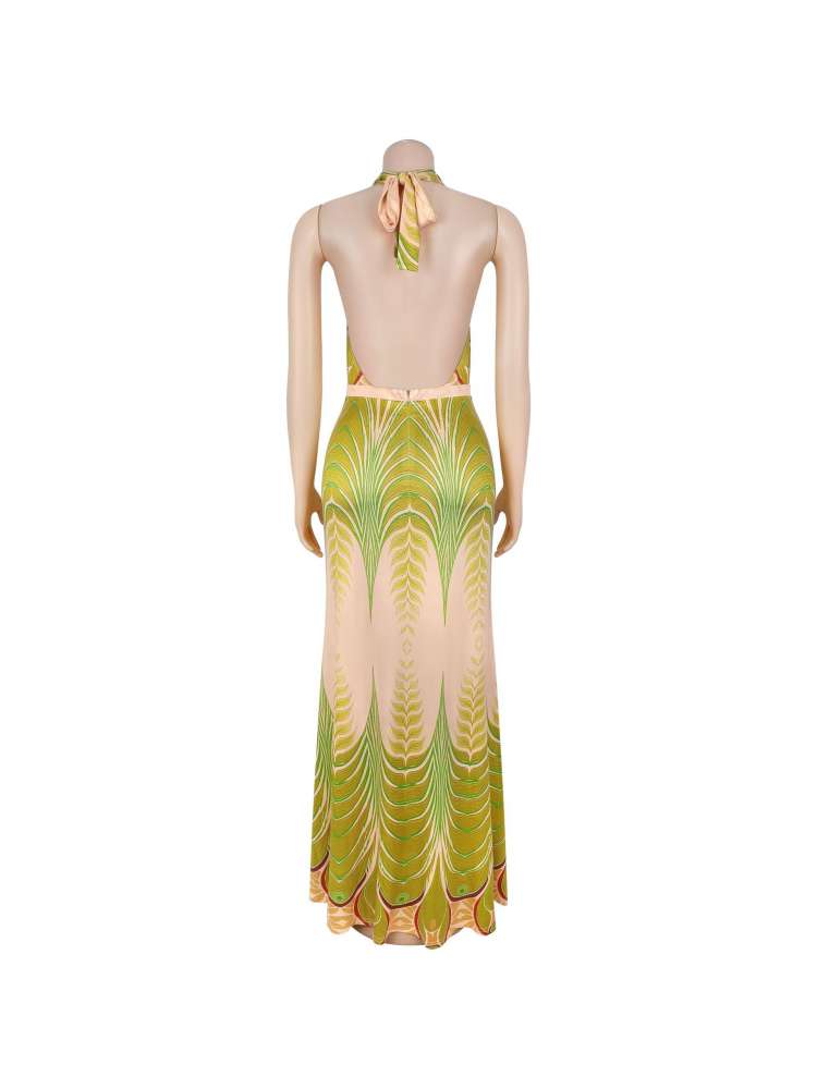 phoenix feather dress