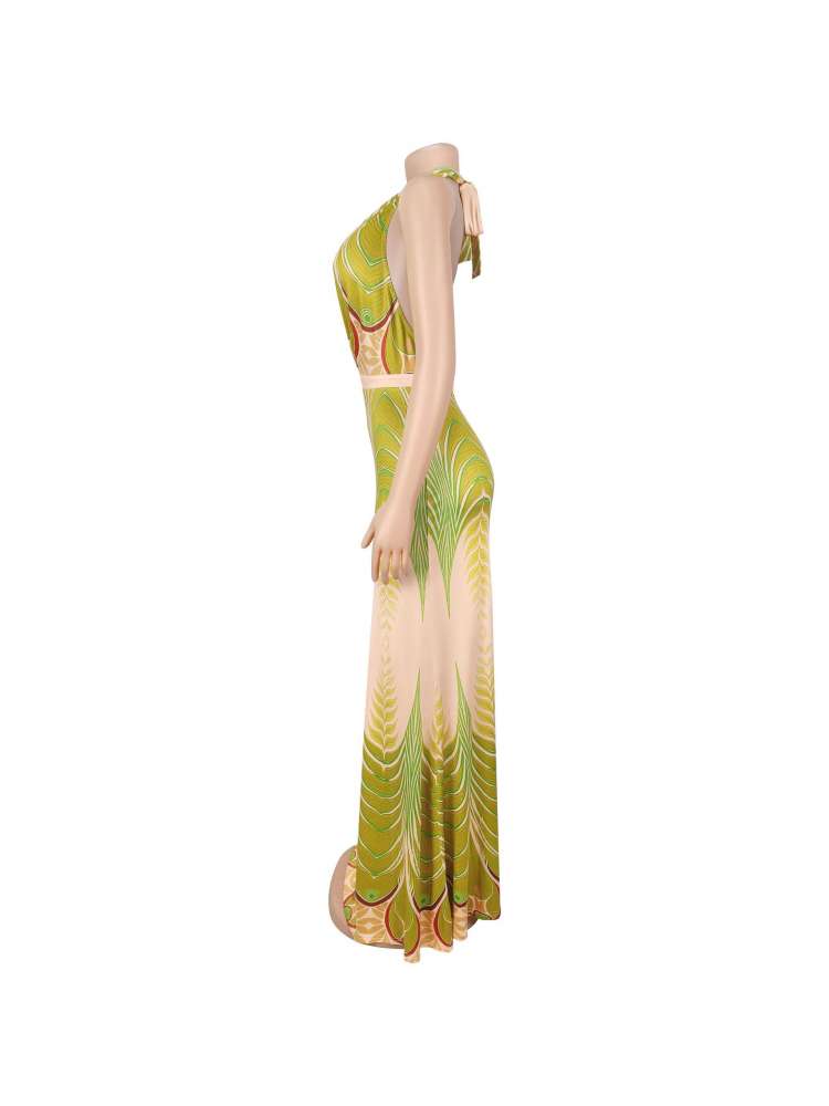 phoenix feather dress